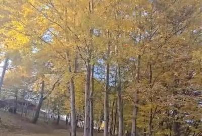 Teren de 1850 mp, în Cisnădioara