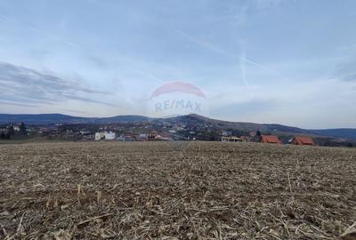 Teren intravilan de vanzare in Salicea, 3000 MP - 2