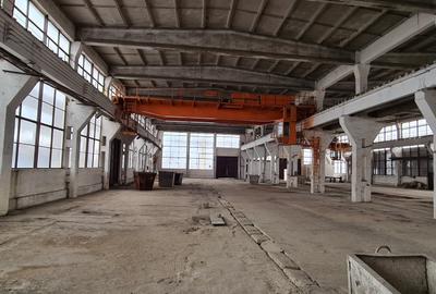 Brasov hala industriala 2000 mp cu platforma betonata - 1