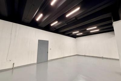 Spațiu comercial, de 180 mp, în Theodor Pallady