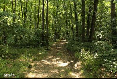 Spațiu comercial, în Ostratu - 4