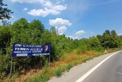 Resita, Terenuri Intravilane 2000 Mp., 28 Euro/Mp., Calea Ca - 9