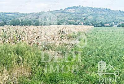 Teren extravilan Lugasu de jos, Bihor - 1