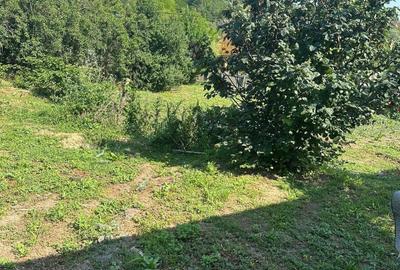 Casă individuală cu 3 camere cu Teren 5700 Mp în Pădureni (Grajduri) - 18