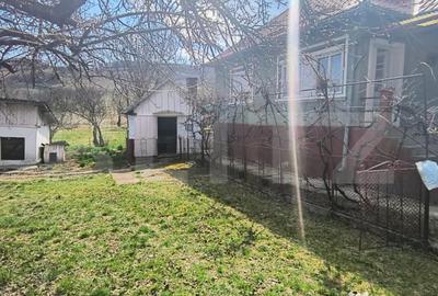 Casă cu 2 camere cu Teren 2500 Mp în Central - 3