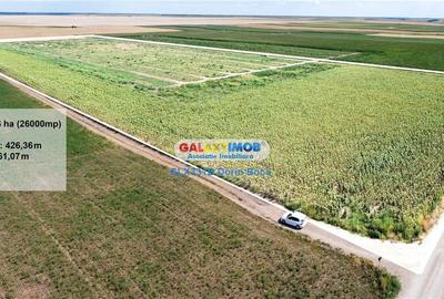 Teren agricol extravilan 2.6 ha - 26.000 mp - Valcelele, Buzau - 5