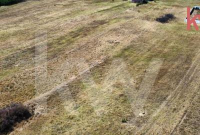 Teren intravilan de vanzare Malu Mare Teren intravilan de vanzare Malu Mare - 2