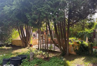 Casă cu 3 camere cu Teren 512 Mp în Central - 3