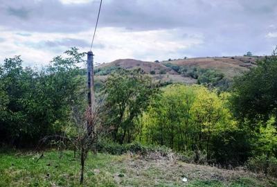Proprietate în zonă de deal în localitatea Zărnești, la 20km de orașul Buzău - 2