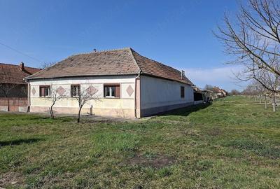 Casă cu Teren 1681 Mp în Birda - 3