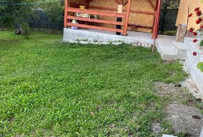 Casă cu 4 camere cu Teren 1971 Mp în Mica - 3