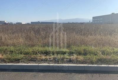 TEREN INTRAVILAN - ZONA INDUSTRIALA VEST-9000 mp, sau 18000 mp - 3