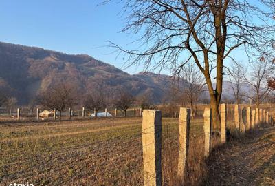 Teren de 3111 mp, în Feldru - 7