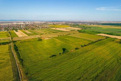 50 ha teren compact în Bujac - 6