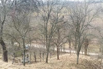 Casă cu 4 camere în Răchitova - 4