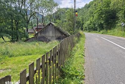Teren de 4000 mp, în Băișoara - 8