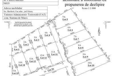 Teren de 13400 mp, în Bărdești - 1