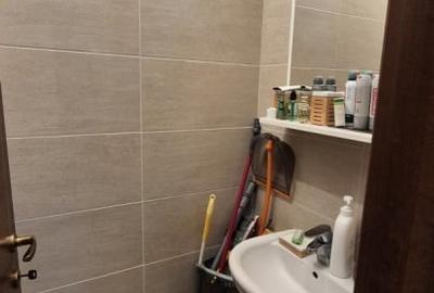 Apartament cu 3 camere, mobilat în Rahova - 11