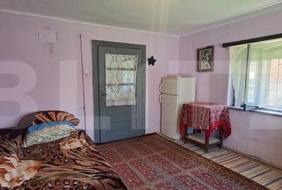 Casă cu 2 camere cu Teren 3000 Mp în Hârseni - 10