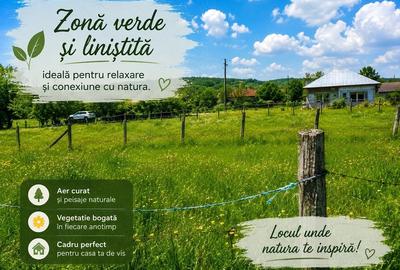 Teren de 4513 mp, în Rugetu (Slătioara) - 3