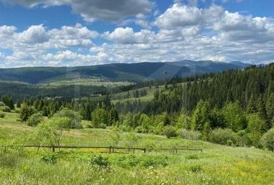 Teren de 17070 mp, în Făget - 2