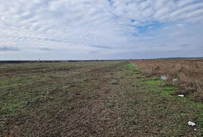 Teren de 615 mp, în Clinceni - 6
