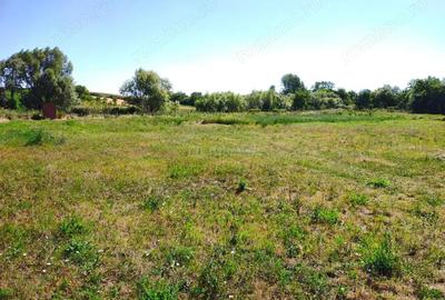 Teren de 18247 mp, în Mișca - 8