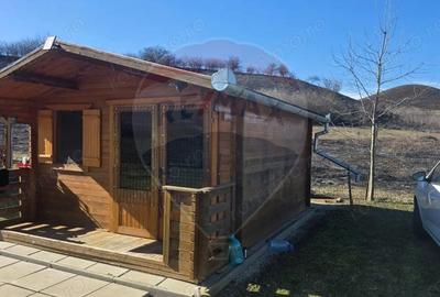 Teren de 2900 mp, în Păucea - 8