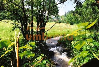 Teren Construcții intravilan de 34201 mp, în Vărșag - 5