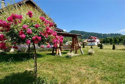 Refugiu pretios:jacuzzi, lemn masiv,2.000 mp teren,4 dormito - 4