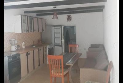 Casă cu 2 camere cu Teren 500 Mp în Rusu Bârgăului - 9