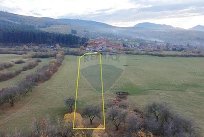 Teren 5.800 mp Purcareni curent, gaz, apa / Strada 30 decembrie - 7