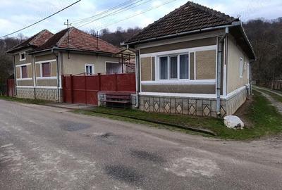 Casă cu 3 camere cu Teren 2400 Mp în Diosig - 6