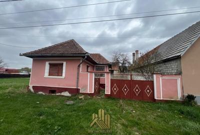 Casa Haghig Covasna