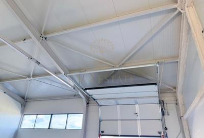 Spațiu industrial, de 150 mp, în Theodor Pallady - 5