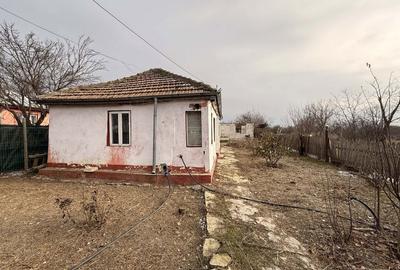 Casă cu 2 camere în Lacu - 3