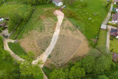 Teren de vanzare cu potential turistic-Predelut,comuna Bran - 4