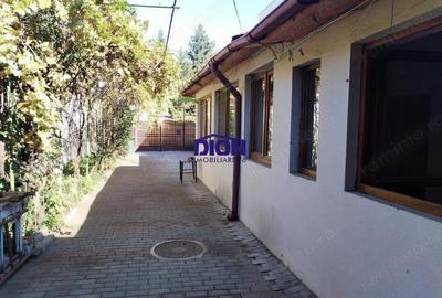 Casa cu suflet, in inima cartierului Tei - aproape de Parcul Circului - 5