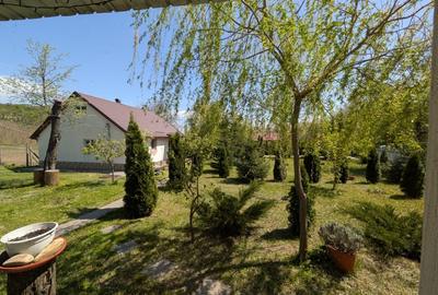 Casă individuală cu 3 camere cu Teren 6500 Mp în Moșna - 13