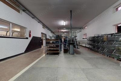 Produc?ie / Depozitare + Birouri Proprietate industriala de vanzare - 3