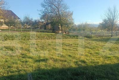 Teren intravilan, 712 mp - Vintu de jos - 1