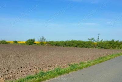 Teren industrial Cerneteaz de vanzare - 3