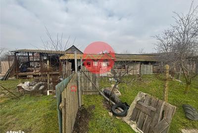 Casă cu 4 camere cu Teren 4489 Mp în Murighiol - 1