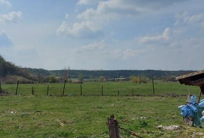 Teren de 3100 mp, în Axintele - 1