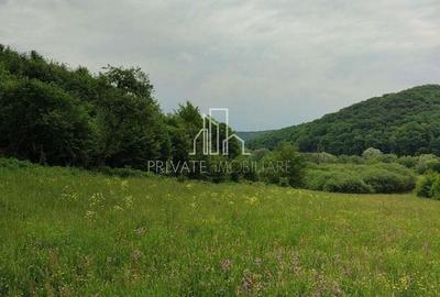 Teren de vanzare, 20.000Mp , Comuna Danes, drumul Crisului - 2