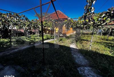 Casă cu 3 camere în Scoarța - 2