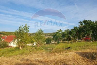 Teren Intravilan, 1704 mp, Panorama, Sofiei, Dealuri, De Vanzare