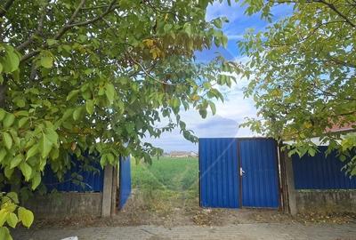 Casă individuală cu 3 camere cu Teren 7290 Mp în Socodor - 24