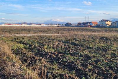 Teren Construcții intravilan de 605 mp, în Hălchiu - 5