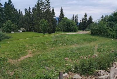 Teren Construcții intravilan de 500 mp, în Cioplea - 3